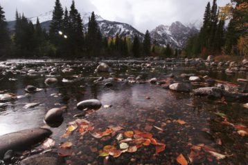 River pebbles