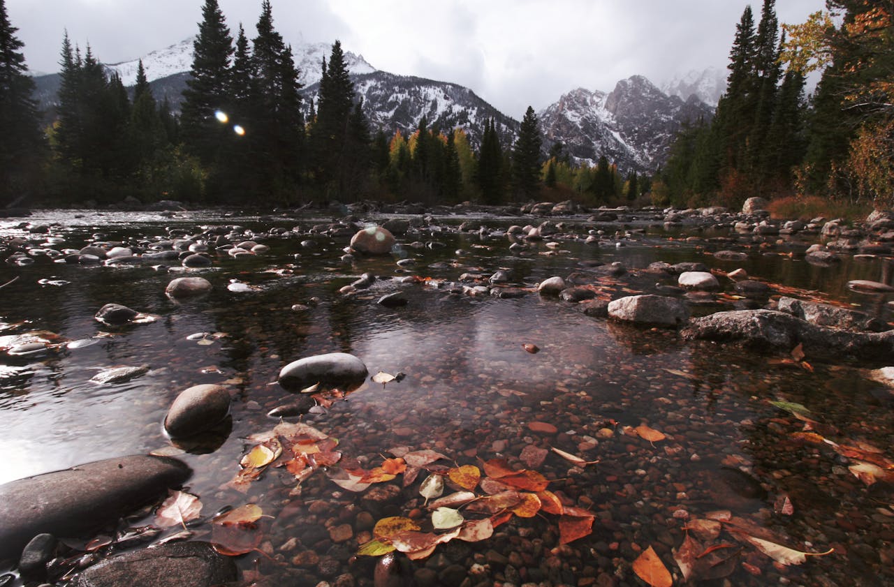 River pebbles